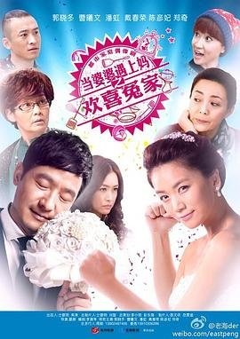 《当婆婆遇上妈之欢喜冤家》全集免费在线观看电视剧 (2014) 海报