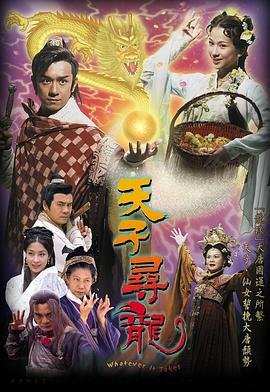 《天子寻龙20集国语免费港剧网》2003 海报