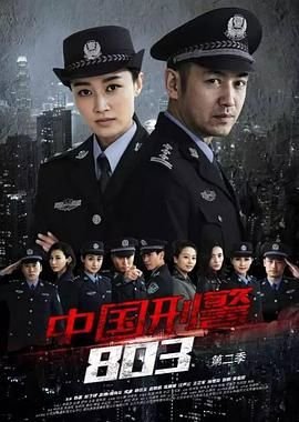 中国刑警803英雄本色电视剧全集高清完整版免费在线 (2017) 海报