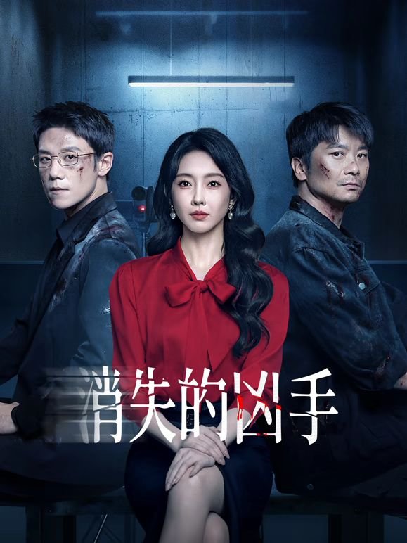 消失的凶手国语电影免费观看 (2025) 海报