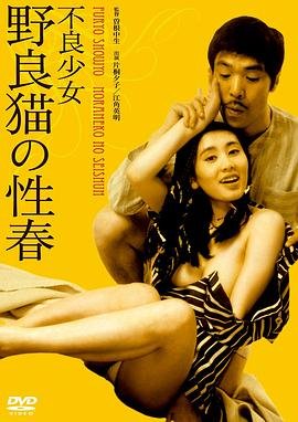 《《不良少女:野良猫的性春1》HD中字完整版_高清视频免费在线观看》1973 海报