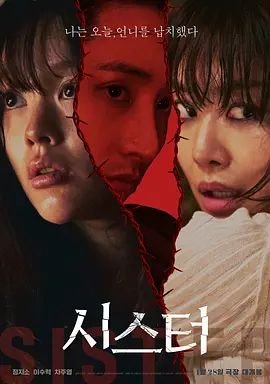 姐妹第6集在线观看无删减手机观看 (2026) 海报
