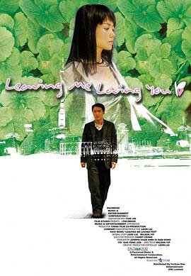 《大城小事》免费在线播放全集完整版 (2004) 海报