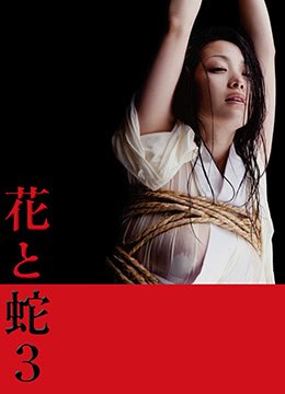 《《花与蛇3》HD中字云播资源国语全集在线免费观看高清完整》2010 海报