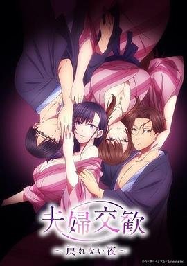 《夫妇联欢~回不去的夜晚~》全集高清在线观看_夫妇联欢~回不去的夜晚 (2023) 海报
