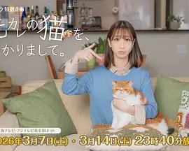 《无法忘怀前男友》日剧 (2026) 海报