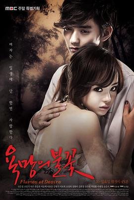 欲望的火花 (2010) 海报