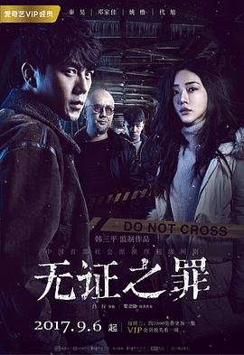 无证之罪小说在线阅读 (2017) 海报