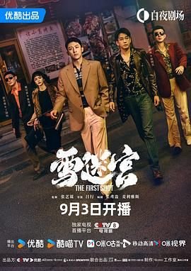 雪迷宫电视剧免费播放在线观看 (2024) 海报