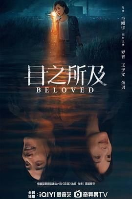 《目之所及电视剧免费观看全集在线播放》2025 海报