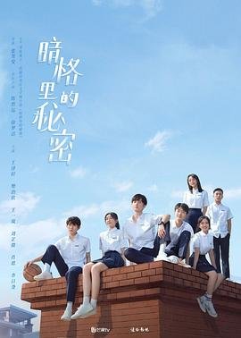 《暗格里的秘密》第1集电视剧免费在线观看_国产剧高清 (2021) 海报