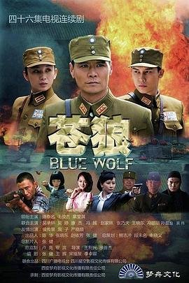 苍狼电视剧全集免费播放在线观看 (2013) 海报