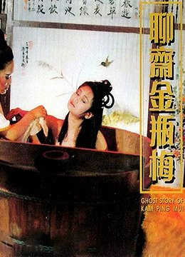《正在播放电影《聊斋金瓶梅DVD》中英双字完整版免费在线观看》1991 海报