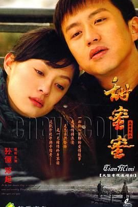 《甜蜜蜜》_电视剧全集_免费在线观看完整版 (2007) 海报