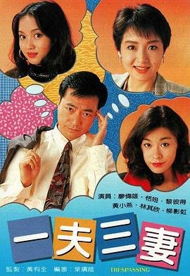 一夫三妻免费观看电视剧高清完整版 (1994) 海报
