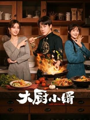 《大厨小婿》电视剧全集在线观看_在线电视剧- (2025) 海报