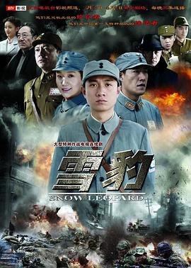 《《雪豹》电视剧在线完整版全集免费高清观看》2010 海报