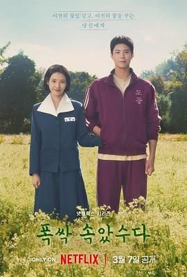 《《苦尽柑来遇见你》韩剧韩国电视剧免费在线观看》2025 海报