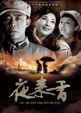 夜来香高清免费观看电视剧04集 (2008) 海报
