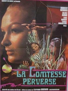 《堕落的伯爵夫人免费观看完整版》1974 海报