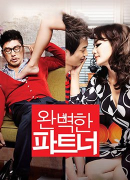 《完美搭档韩剧免费观看全集在线观看》2011 海报
